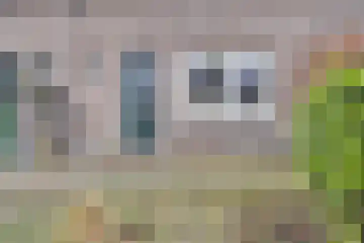 Turfbergweg 32 Radio Kootwijk thumbnail 33