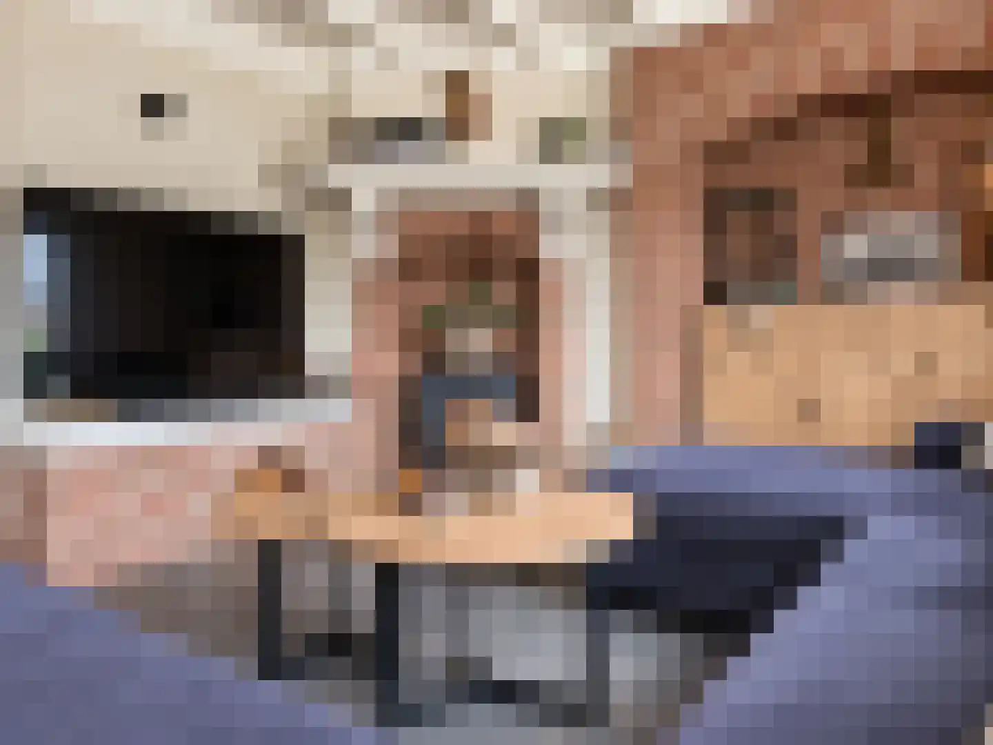 Turfbijl 18 Rucphen thumbnail 10