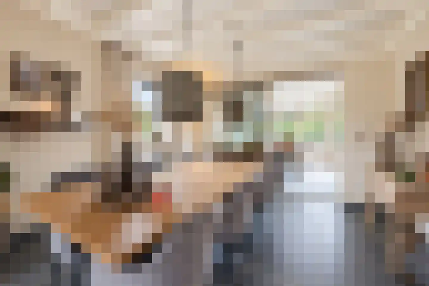 Turfbijl 18 Rucphen thumbnail 14