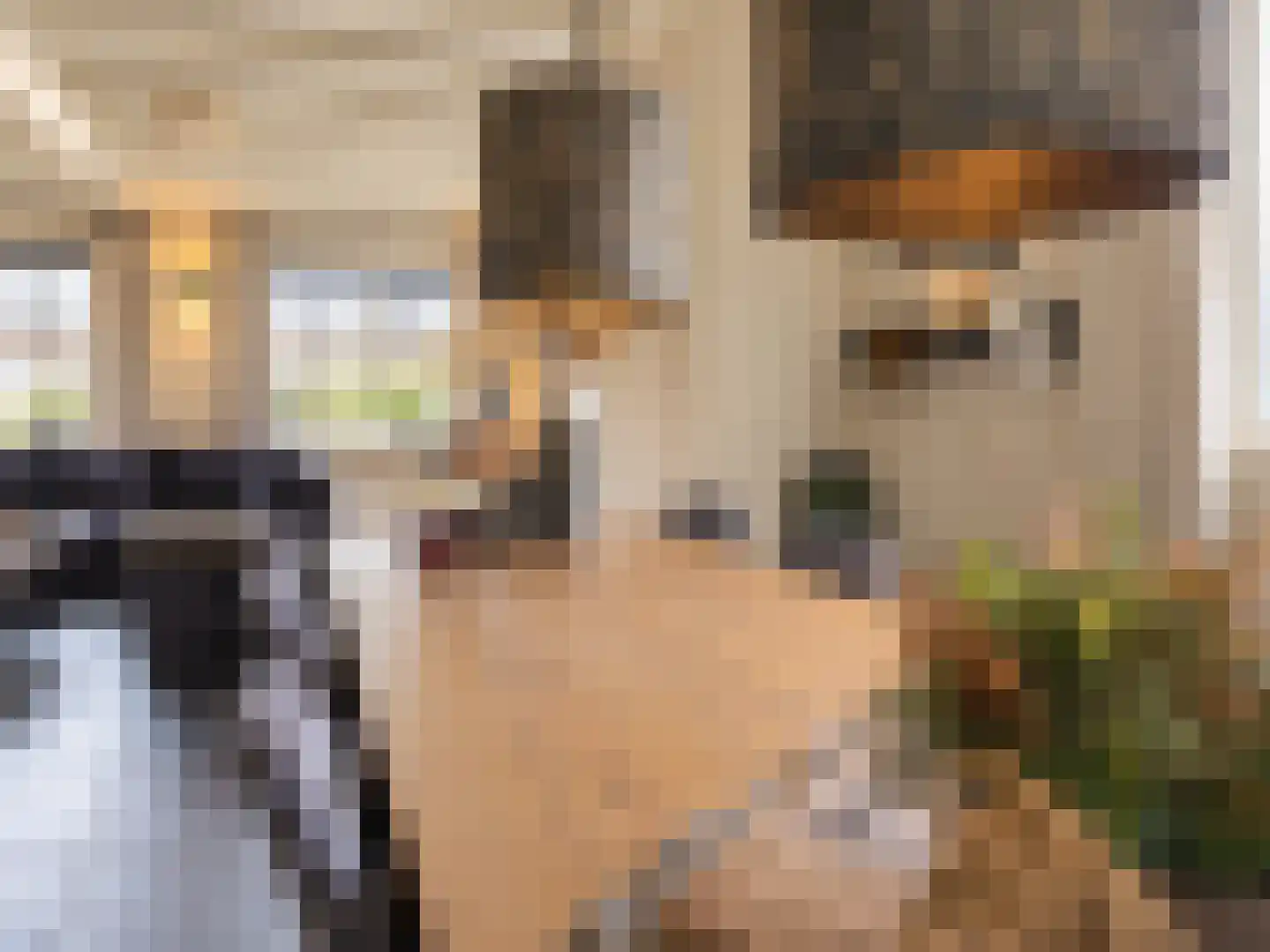 Turfbijl 18 Rucphen thumbnail 17
