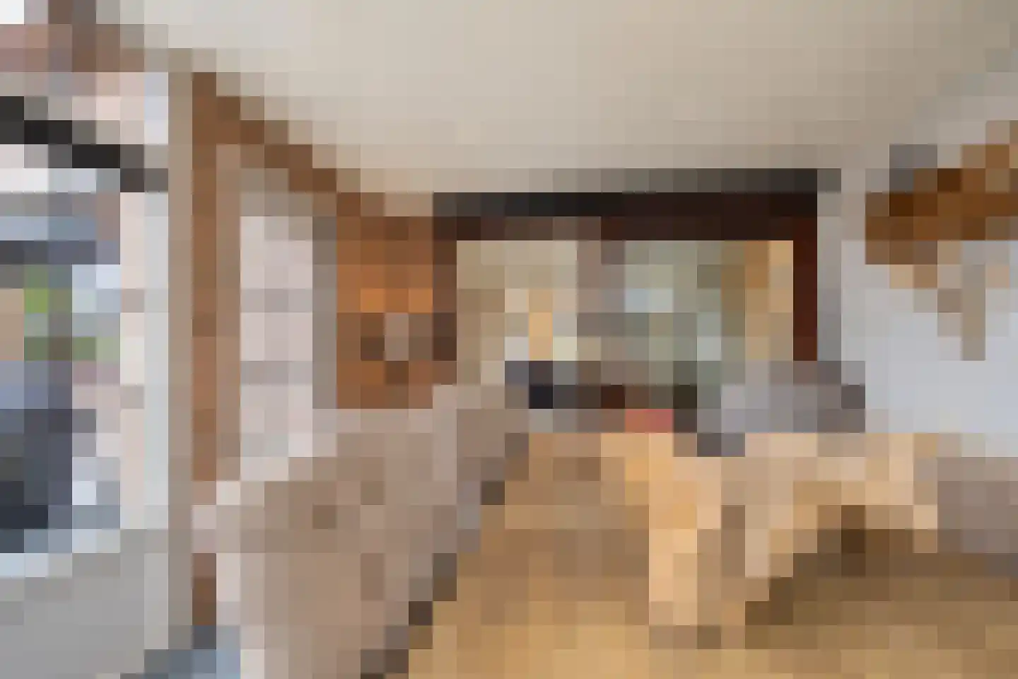 Turfbijl 18 Rucphen thumbnail 18