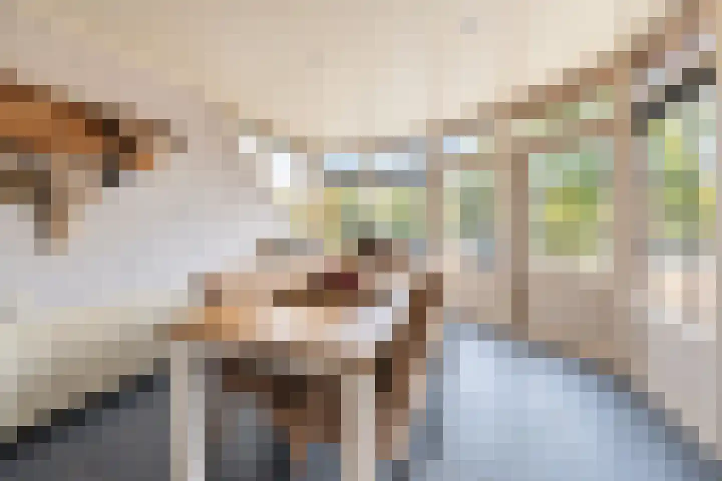 Turfbijl 18 Rucphen thumbnail 19