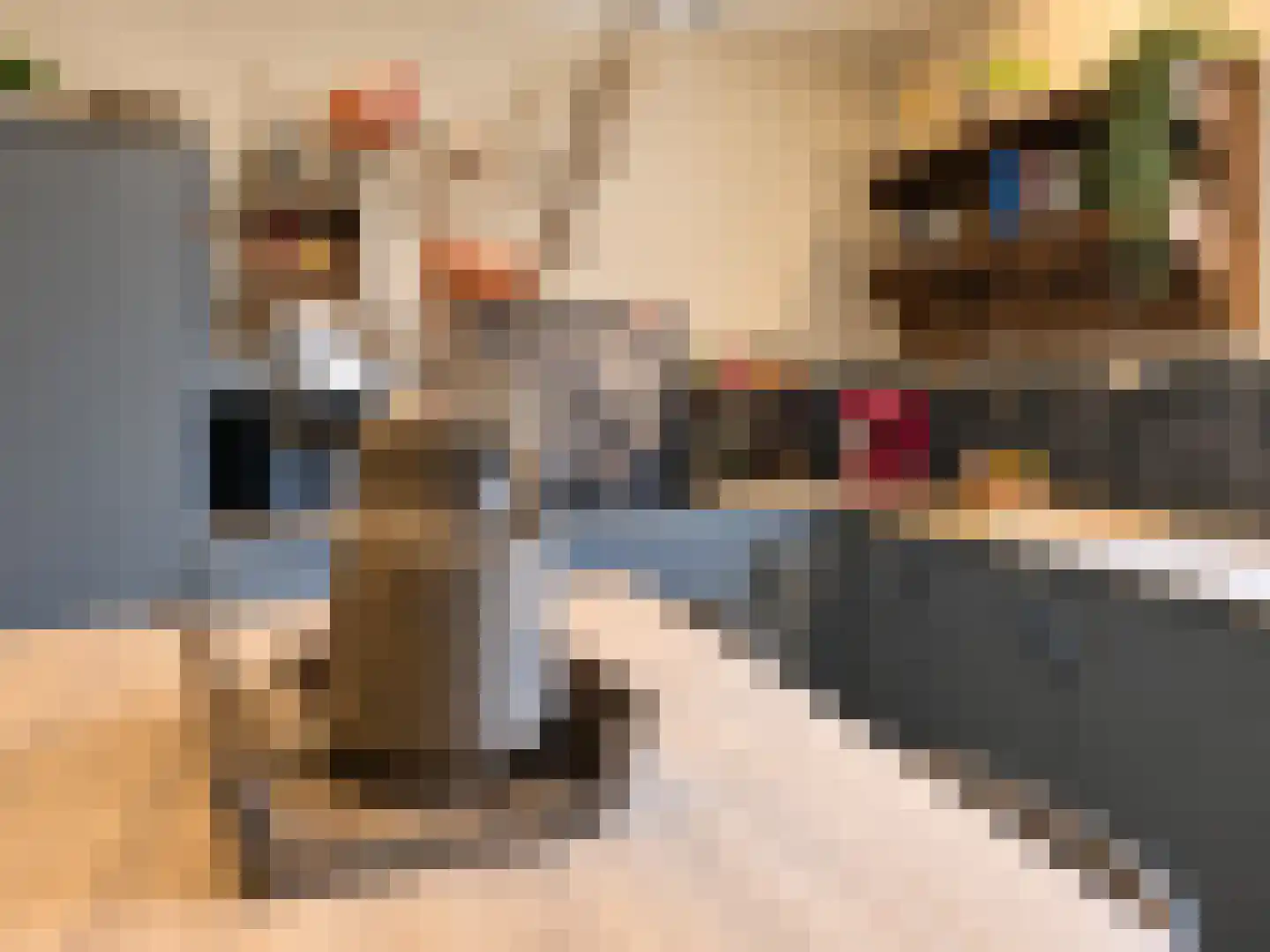 Turfbijl 18 Rucphen thumbnail 22