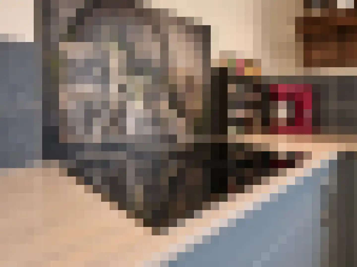 Turfbijl 18 Rucphen thumbnail 25