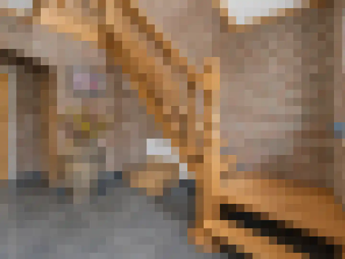 Turfbijl 18 Rucphen thumbnail 30