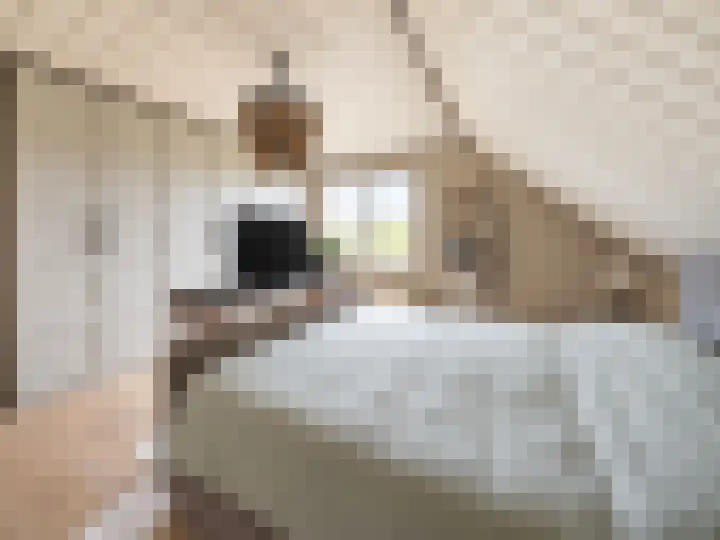 Turfbijl 18 Rucphen thumbnail 33