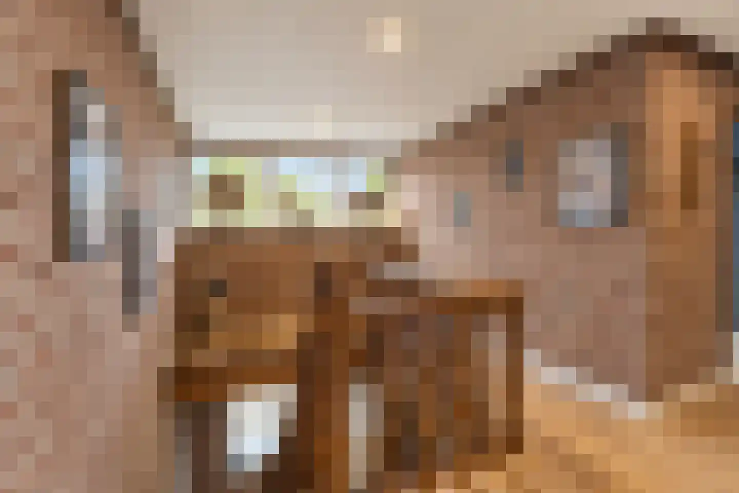 Turfbijl 18 Rucphen thumbnail 37