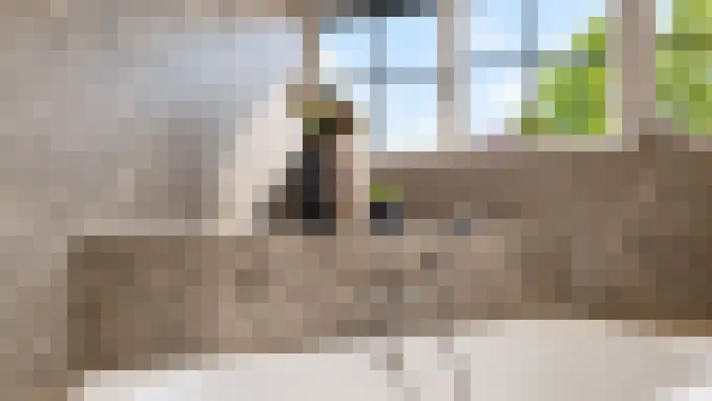 Turfbijl 18 Rucphen thumbnail 51