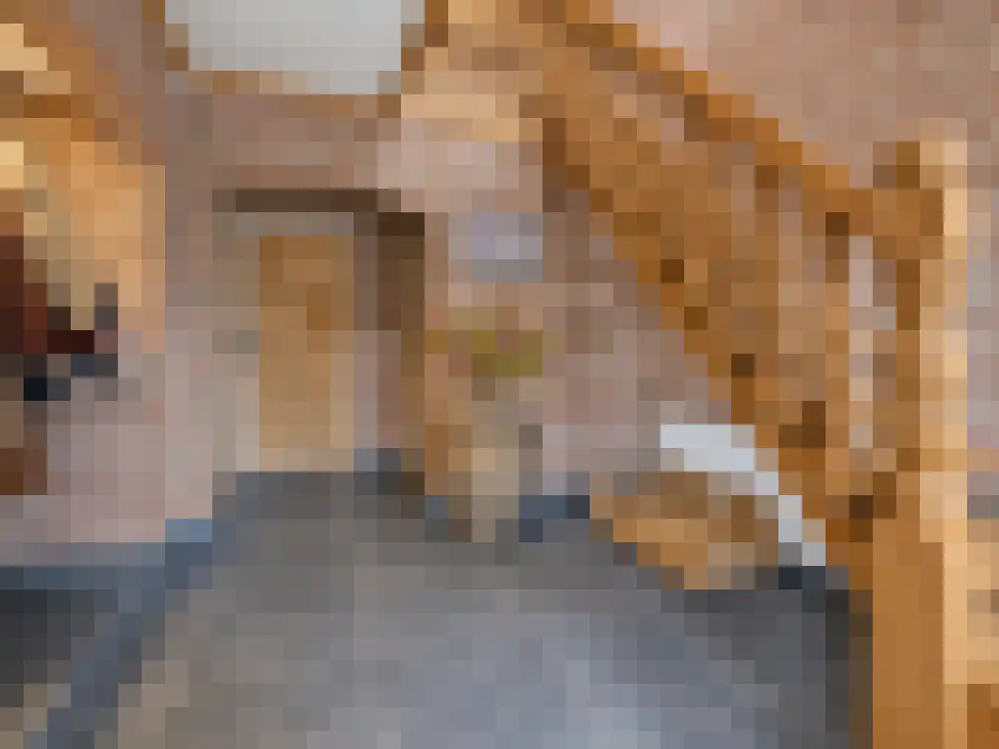 Turfbijl 18 Rucphen thumbnail 7