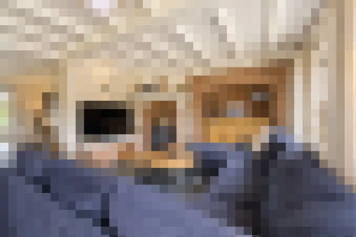 Turfbijl 18 Rucphen thumbnail 8
