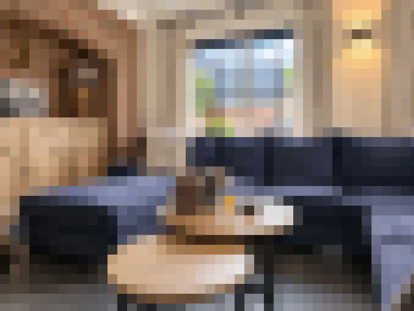 Turfbijl 18 Rucphen thumbnail 9