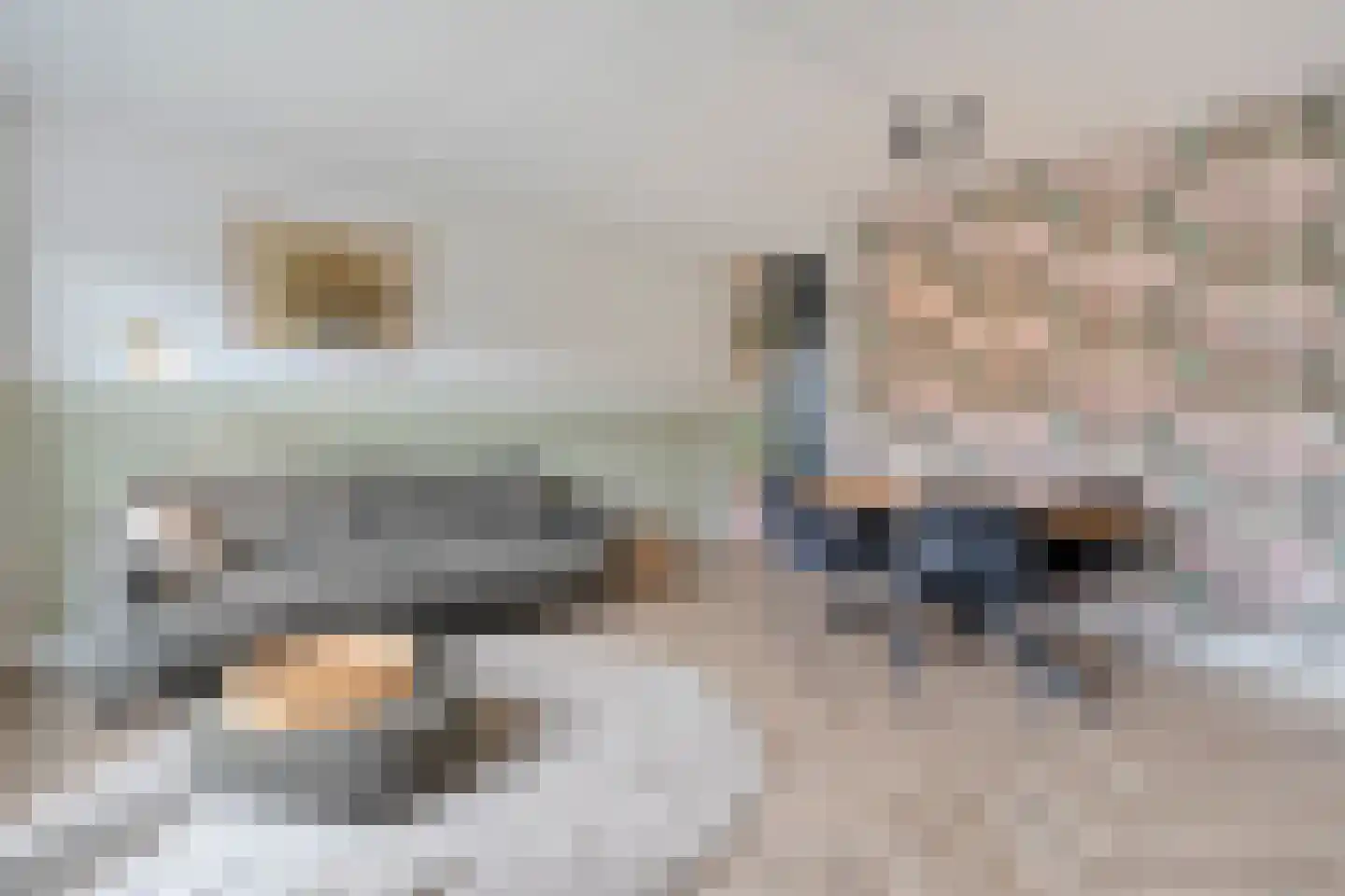 Turfdragerstraat 15 Zwolle thumbnail 14