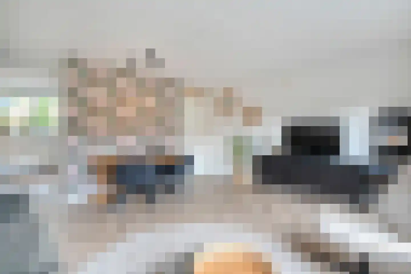 Turfdragerstraat 15 Zwolle thumbnail 18