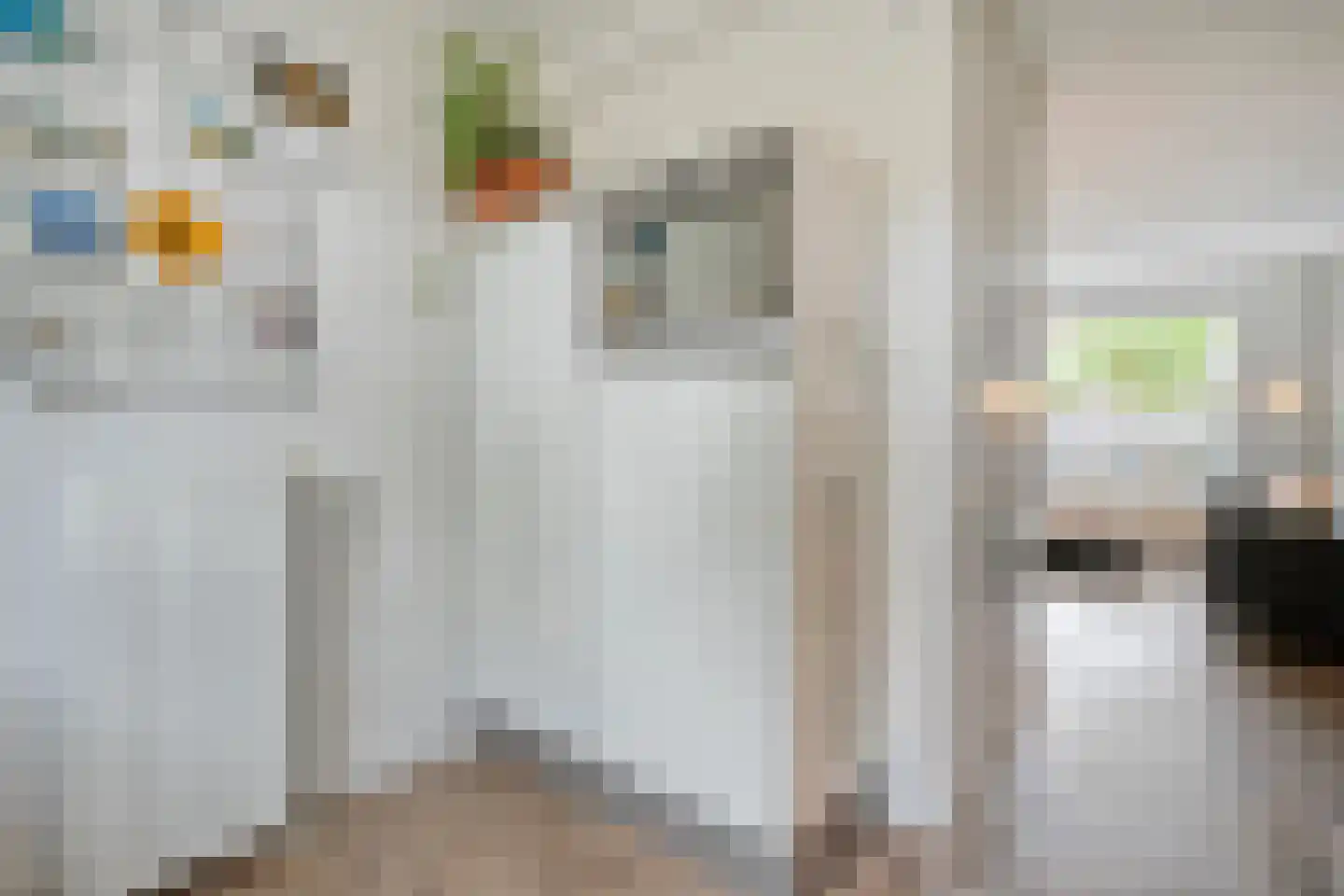 Turfdragerstraat 15 Zwolle thumbnail 21