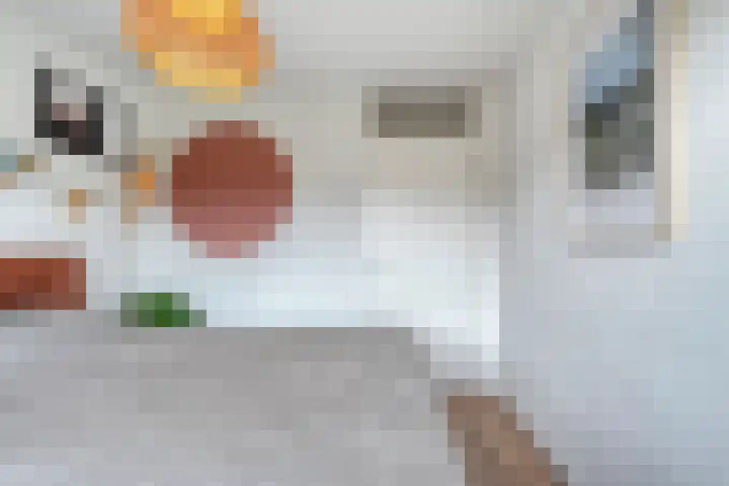 Turfdragerstraat 15 Zwolle thumbnail 31