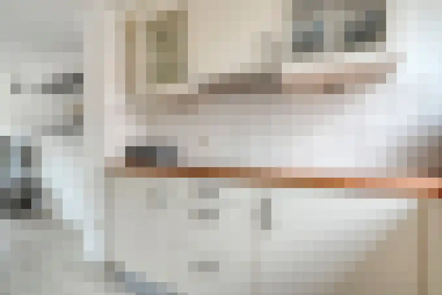 Turfdragerstraat 17 Zwolle thumbnail 11