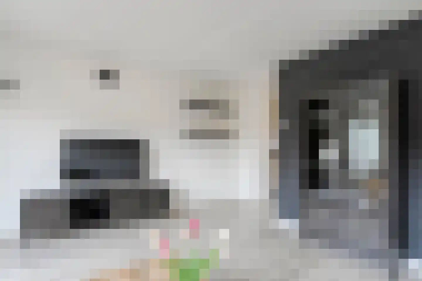 Turfdragerstraat 17 Zwolle thumbnail 8