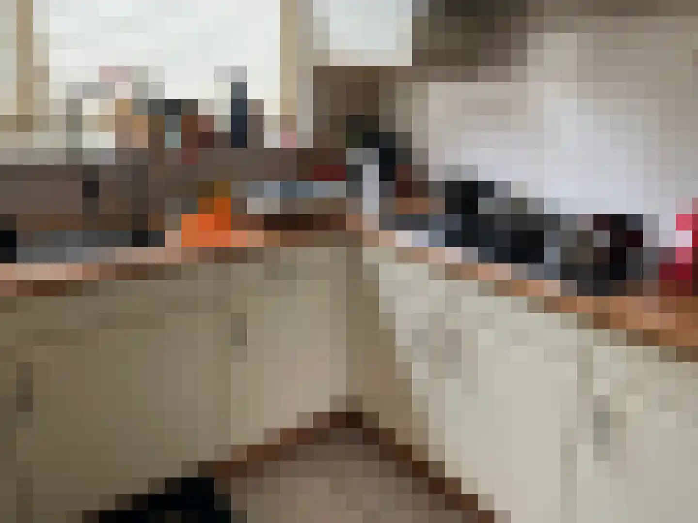 Turfdragerstraat 33 Zwolle thumbnail 14