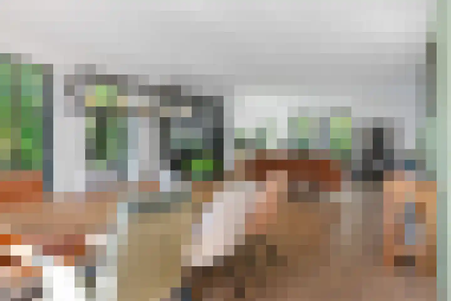 Turfdyk 10 A Gaastmeer thumbnail 13