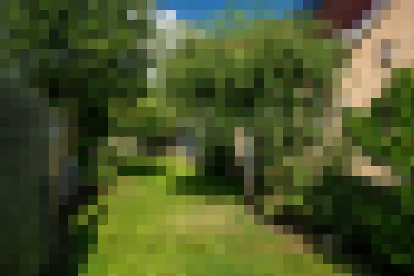 Turfdyk 10 A Gaastmeer thumbnail 52