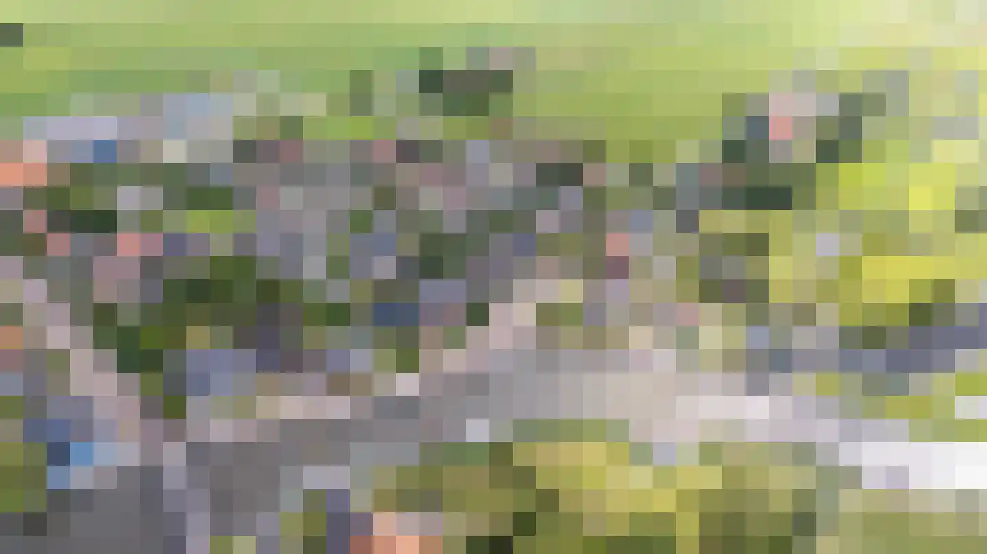 Turfdyk 10 A Gaastmeer thumbnail 58