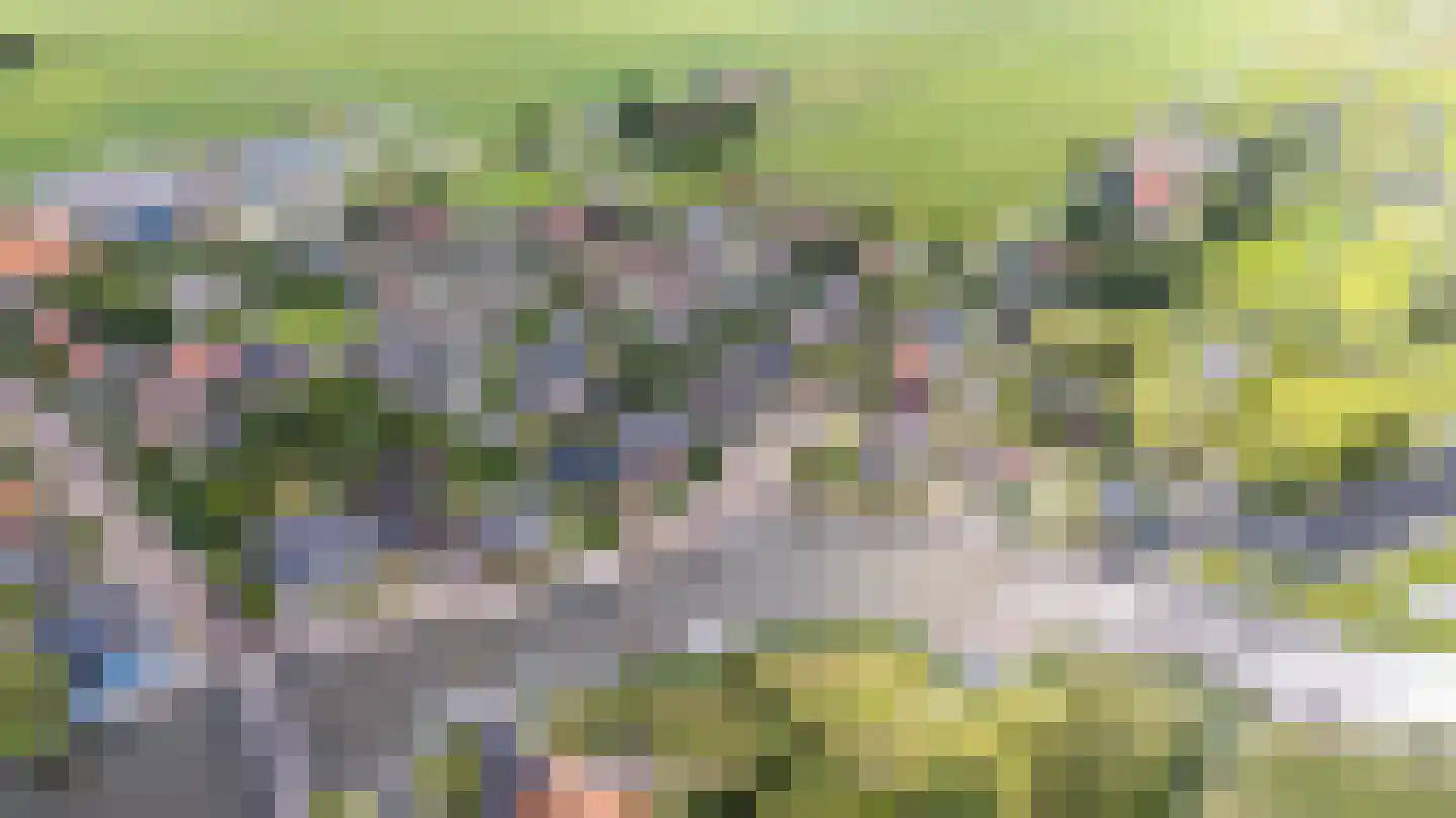 Turfdyk 10 A Gaastmeer thumbnail 58