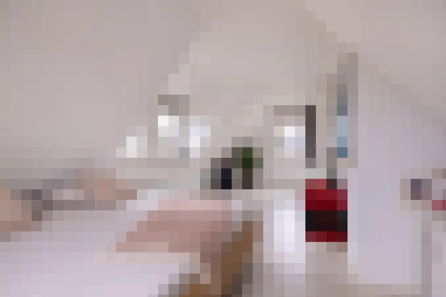 Turfdyk 18 Gaastmeer thumbnail 35
