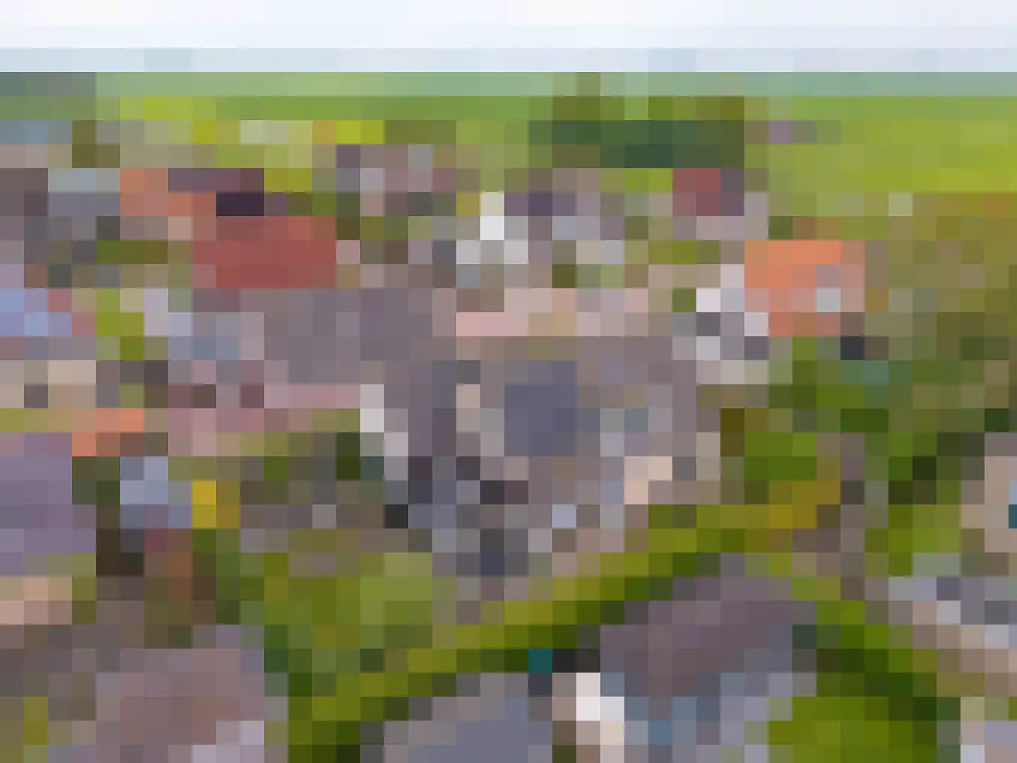 Turfdyk 18 Gaastmeer thumbnail 53