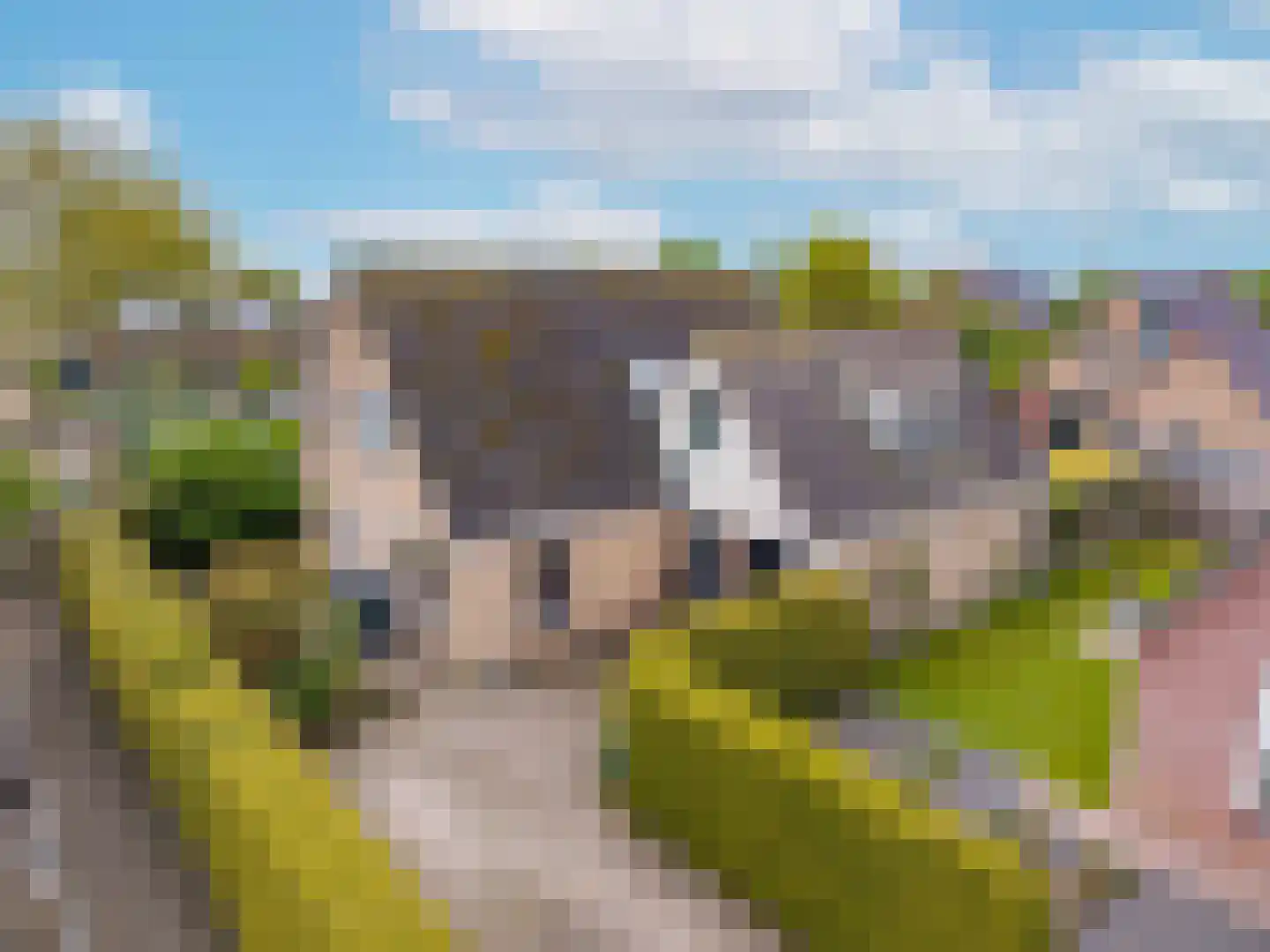 Turfdyk 18 Gaastmeer thumbnail 6