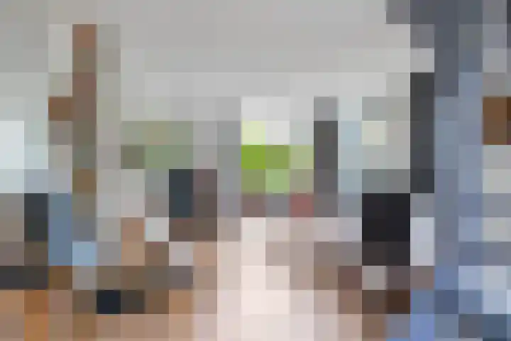 Turfdyk 6 Gaastmeer thumbnail 10