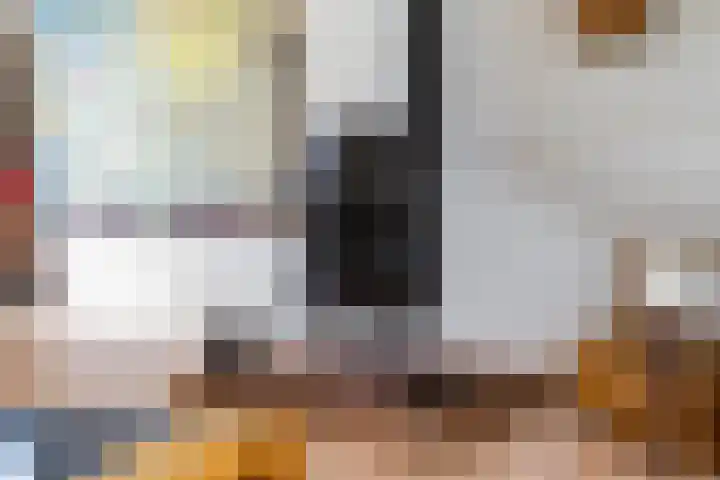 Turfdyk 6 Gaastmeer thumbnail 12