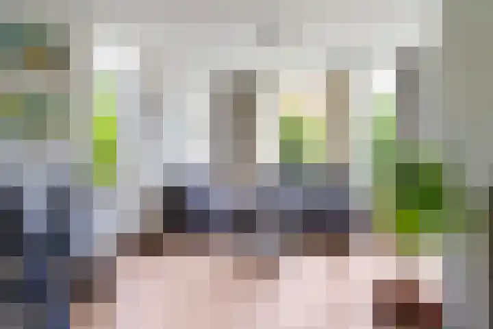 Turfdyk 6 Gaastmeer thumbnail 13