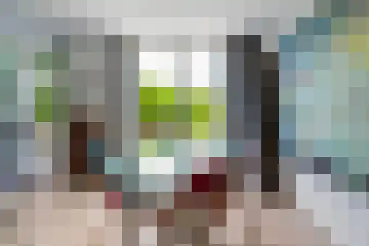 Turfdyk 6 Gaastmeer thumbnail 14