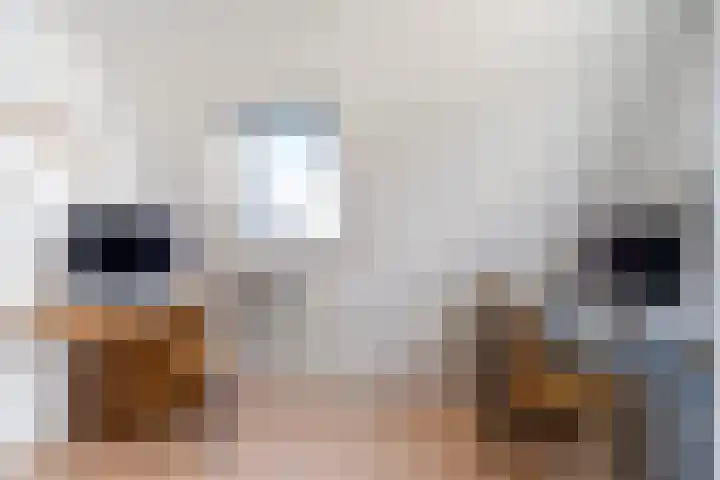 Turfdyk 6 Gaastmeer thumbnail 20
