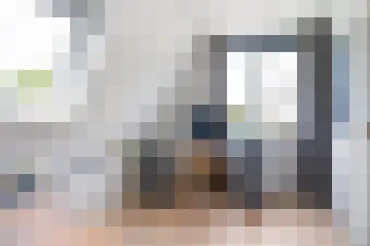 Turfdyk 6 Gaastmeer thumbnail 21