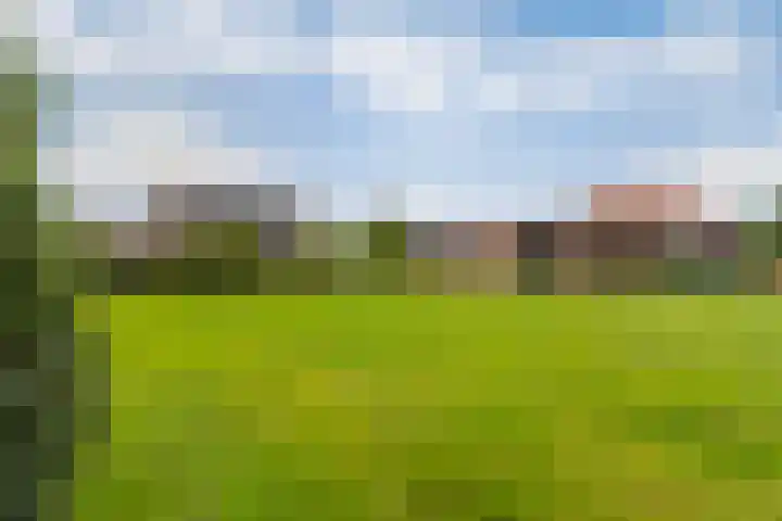 Turfdyk 6 Gaastmeer thumbnail 26