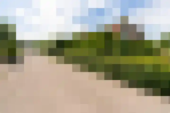 Turfdyk 6 Gaastmeer thumbnail 27