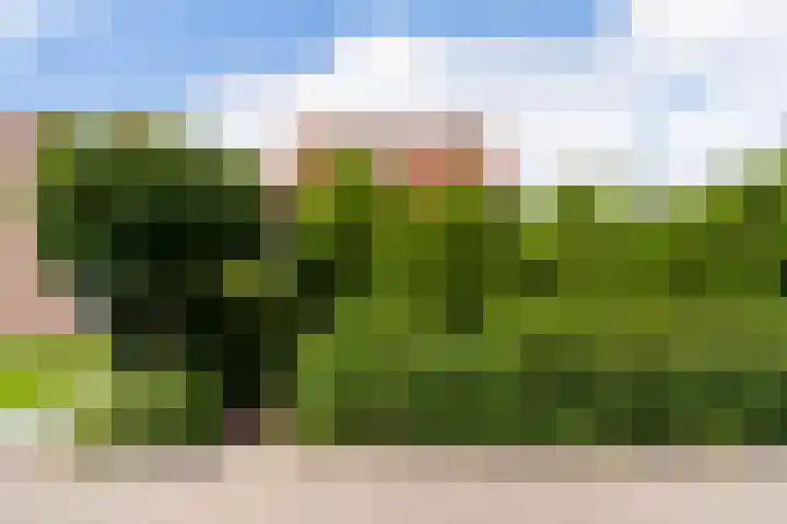 Turfdyk 6 Gaastmeer thumbnail 28