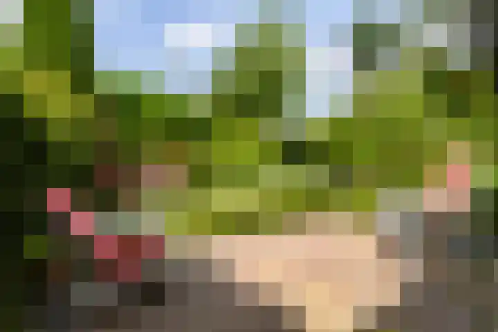 Turfdyk 6 Gaastmeer thumbnail 30