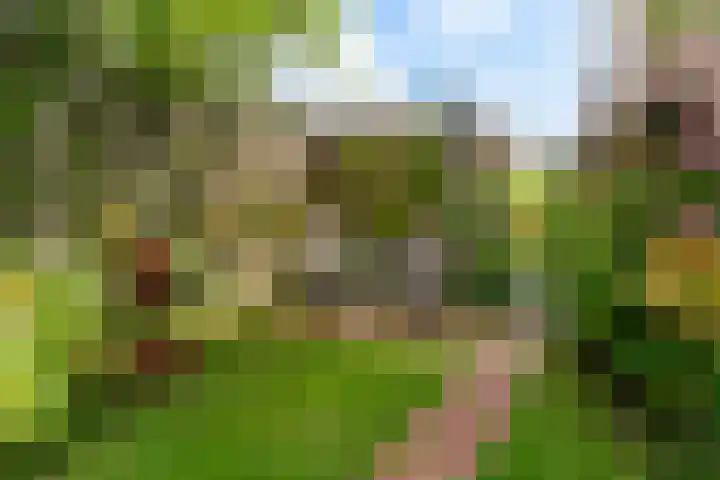 Turfdyk 6 Gaastmeer thumbnail 31