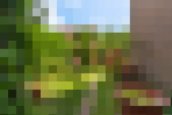 Turfdyk 6 Gaastmeer thumbnail 32