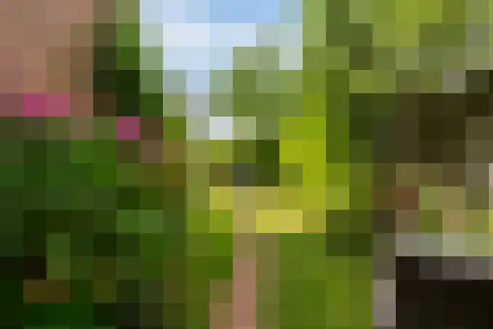 Turfdyk 6 Gaastmeer thumbnail 34