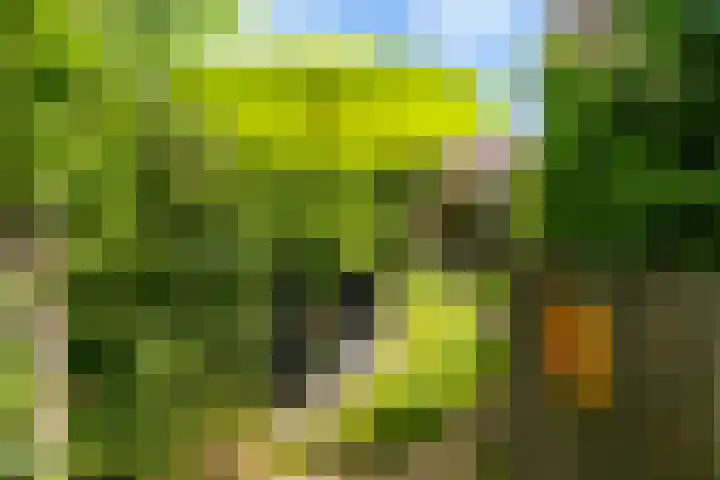 Turfdyk 6 Gaastmeer thumbnail 36