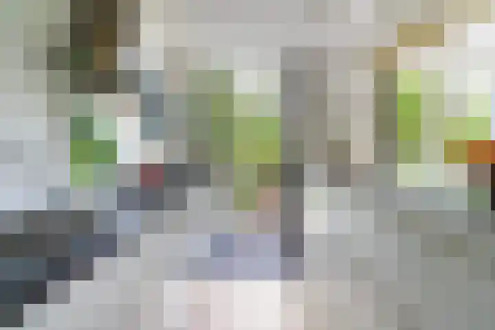 Turfdyk 6 Gaastmeer thumbnail 4