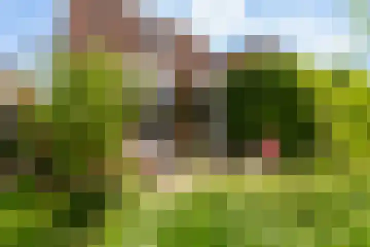 Turfdyk 6 Gaastmeer thumbnail 5