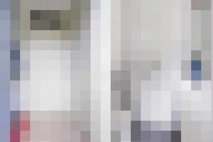 Turfdyk 6 Gaastmeer thumbnail 6