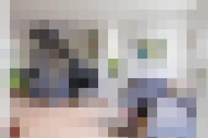 Turfdyk 6 Gaastmeer thumbnail 7
