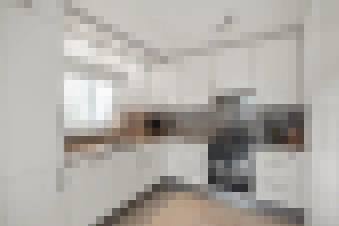 Turfeiker 10 Woubrugge thumbnail 17