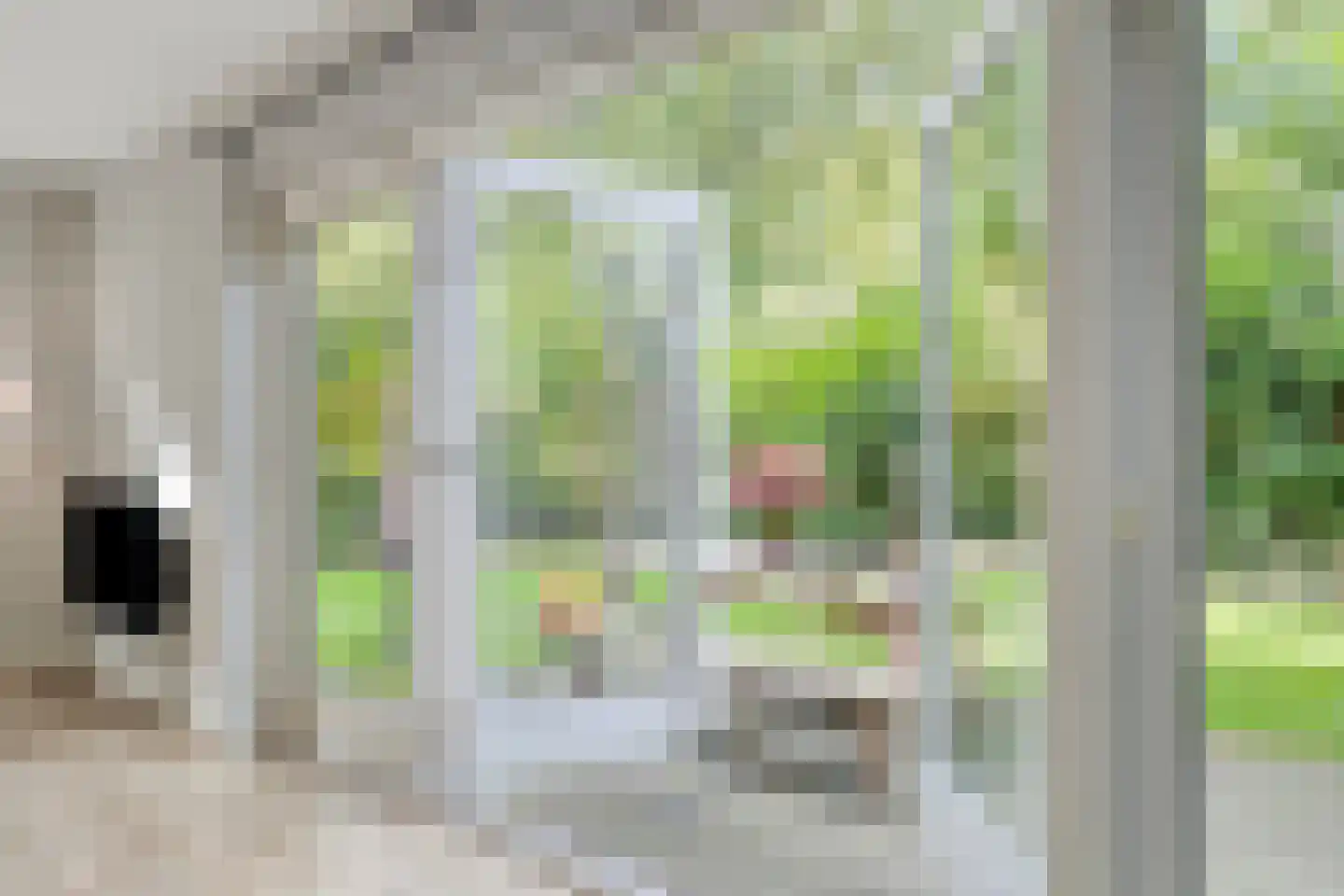 Turfeiker 3 Woubrugge thumbnail 10