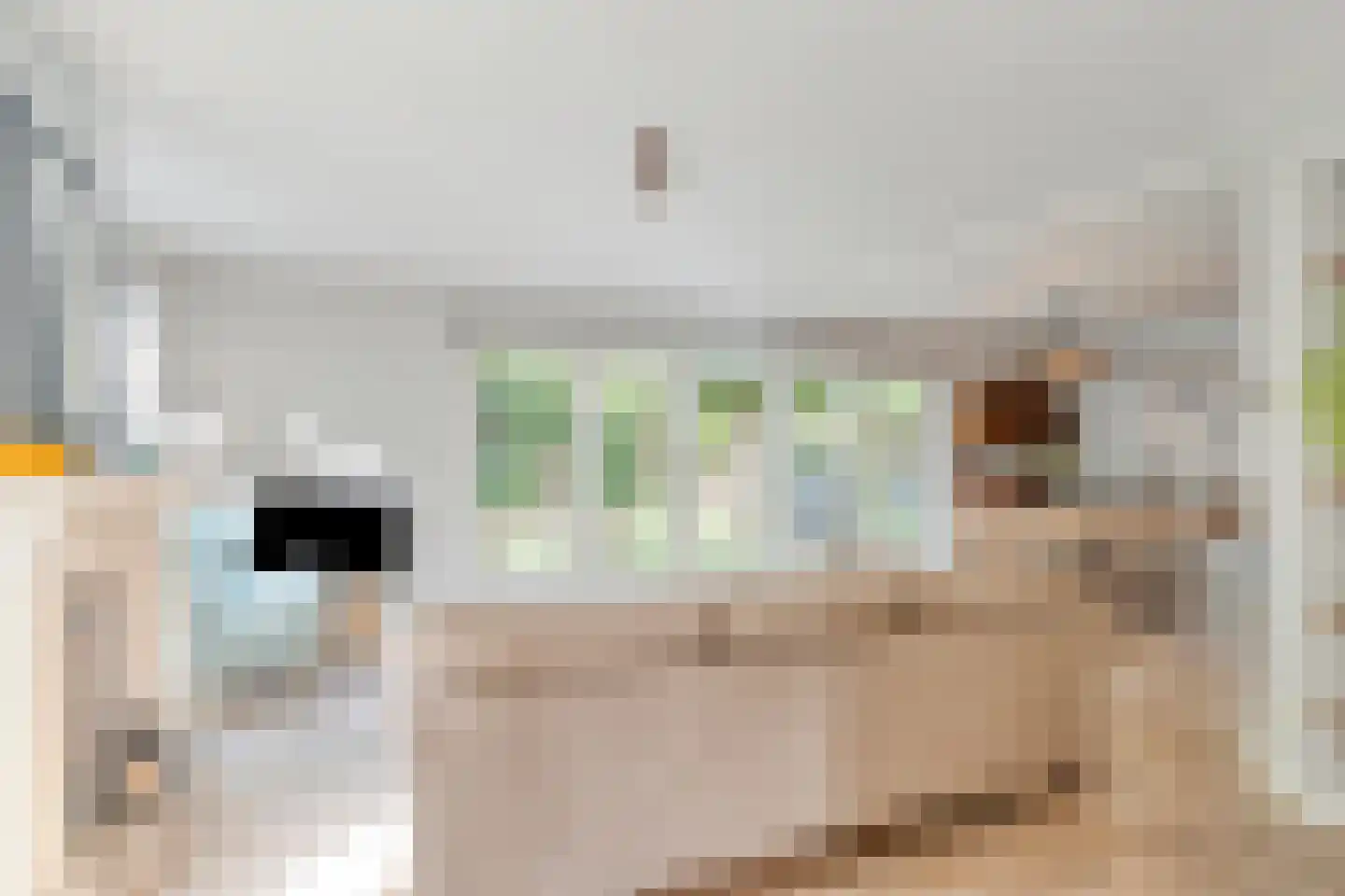 Turfeiker 3 Woubrugge thumbnail 11